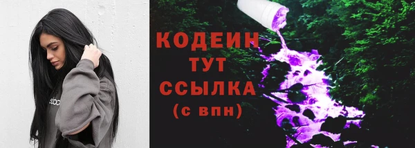 apvp Инсар