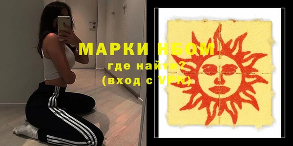 дживик Каменка