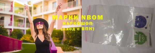 дживик Каменка
