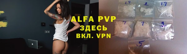 дживик Каменка