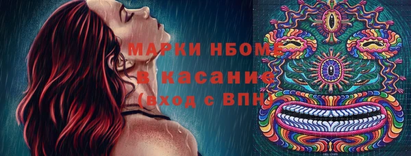 сатива Каменск-Шахтинский