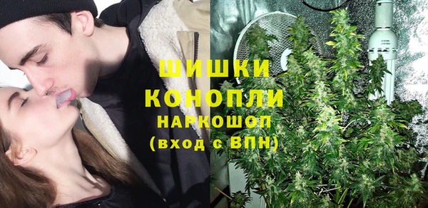 дживик Каменка